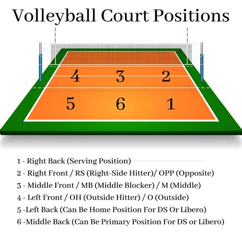 Volleyball Position Chart