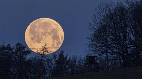 Vollmond: Der Einfluss des Mondes auf Mensch und Tier