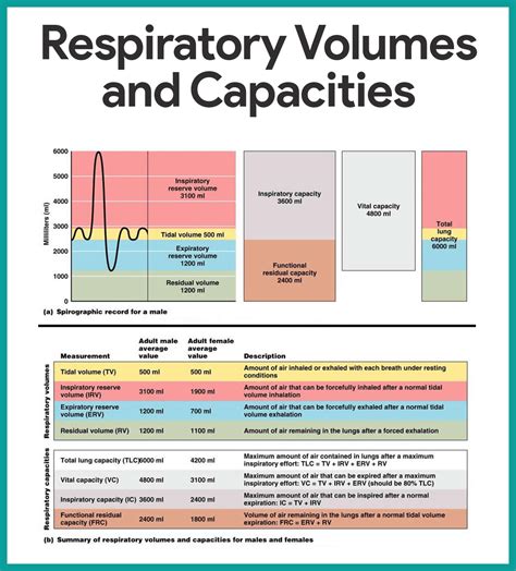 Volume and Capacity: