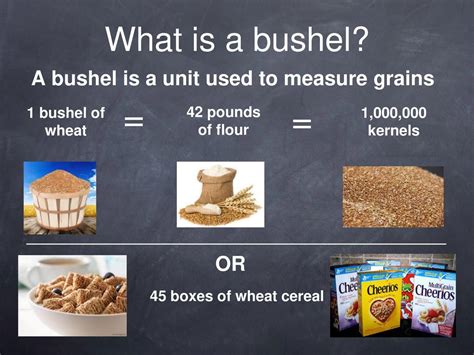 Volume of Bushel: A Comprehensive Exploration