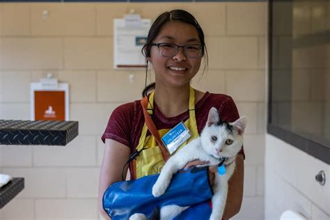 Volunteering with Animals: 101