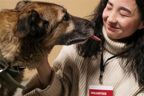 Volunteering with Animals Near Me: A Comprehensive Guide