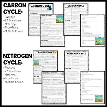 WATER CARBON NITROGEN CYCLE COLOR SHEET ANSWERS Ebook PDF