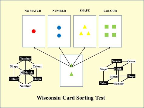 WISCONSIN CARD SORTING TEST MANUAL Ebook Doc