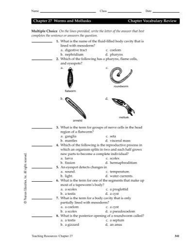 WORMS AND MOLLUSKS VOCABULARY REVIEW ANSWER KEY Ebook Kindle Editon