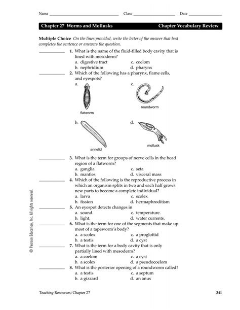 WORMS AND MOLLUSKS VOCABULARY REVIEW ANSWER KEY Ebook Kindle Editon