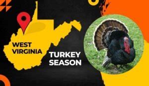 WV Fall Turkey Season 2023: A Comprehensive Guide for Hunters