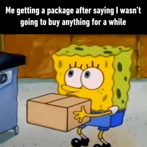 Waiting for a Package Meme: A Comprehensive Guide to Delivering Delight