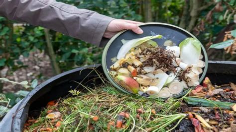 Walking Compost Turner: The Ultimate Guide to Aerobic Composting