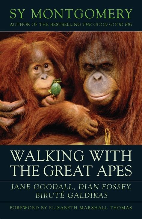 Walking with the Great Apes Jane Goddall Dian Fossey Birute Galdikas Kindle Editon