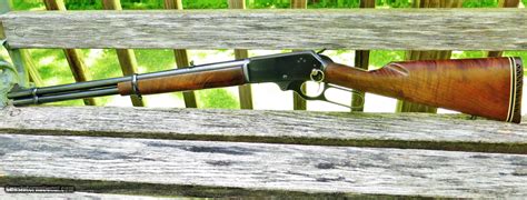 Walmart Special Order Gun Catalog