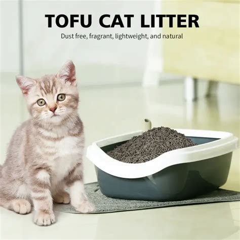 Walnut Cat Litter for Pet-Friendly Offices in 2025: A Comprehensive Guide