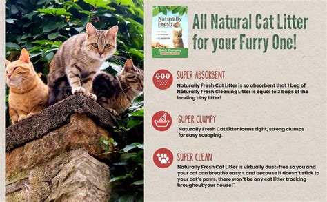 Walnut cat litter customer testimonials