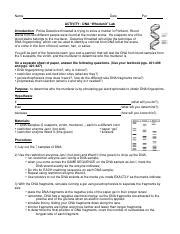 Wards Dna Whodunit Lab Activity Answers Doc