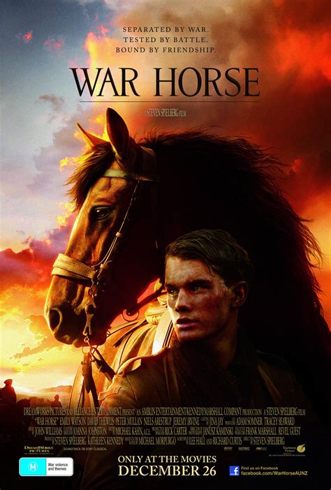 Warhorse Doc
