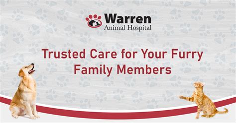 Warren Animal Hospital NJ: Your Trusted Partner in Pet Care