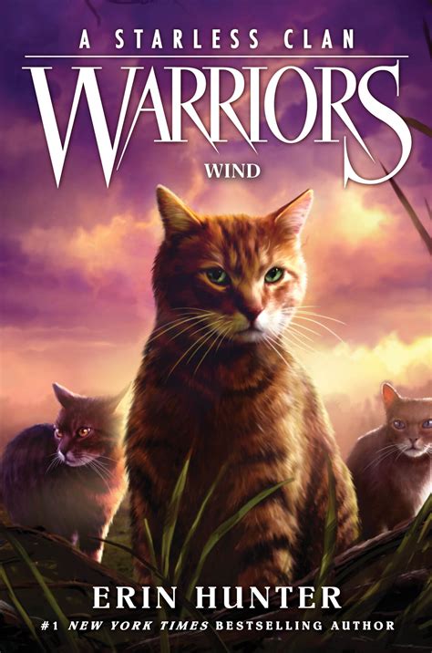 Warriors of the Wind 3 Book Series Reader