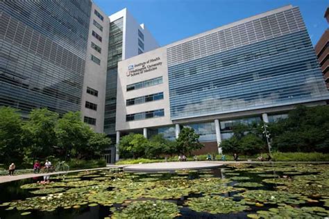 WashU Med School Pre-Health Matriculation: A Comprehensive Guide to Success