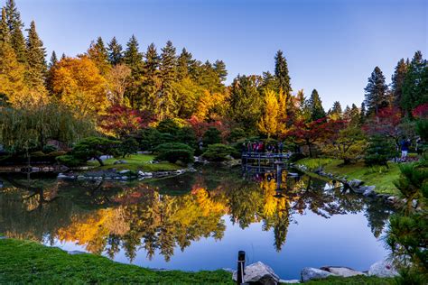 Washington Park Arboretum Seattle: A Living Museum