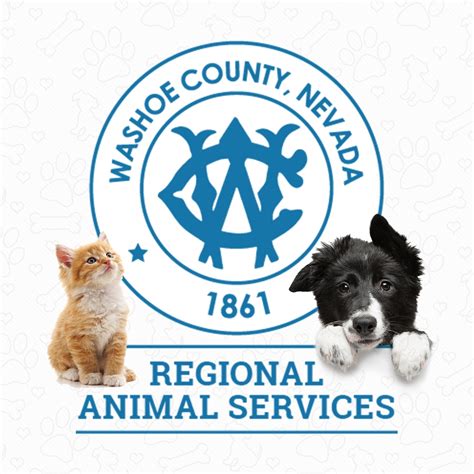 Washoe County Animal Control: A 10000-Word Deep Dive into Animal Welfare