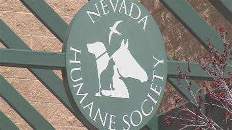 Washoe County Humane Society Reno NV: A Comprehensive Guide