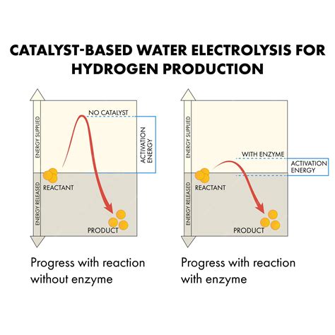 Water: The Underrated Catalyst