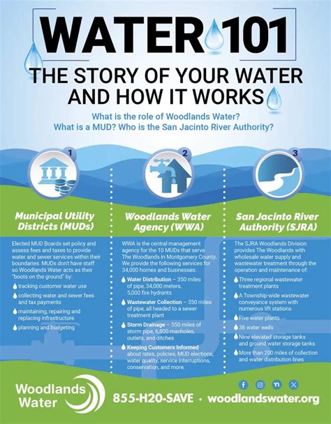 Water 101: A Guide to Water Management Post-Fertilization