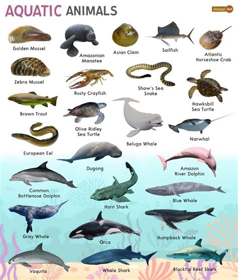 Water Animals Epub