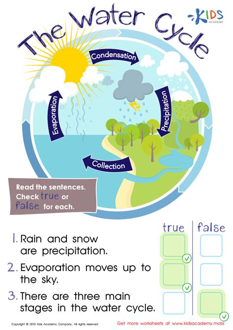 Water Cycle Answer Sheet PDF