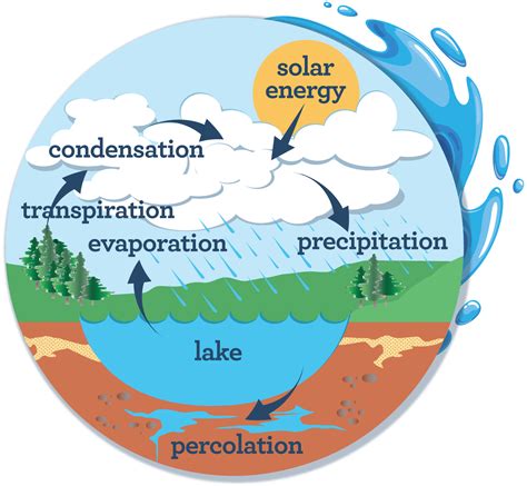 Water Cycle Crosswrod Answers PDF