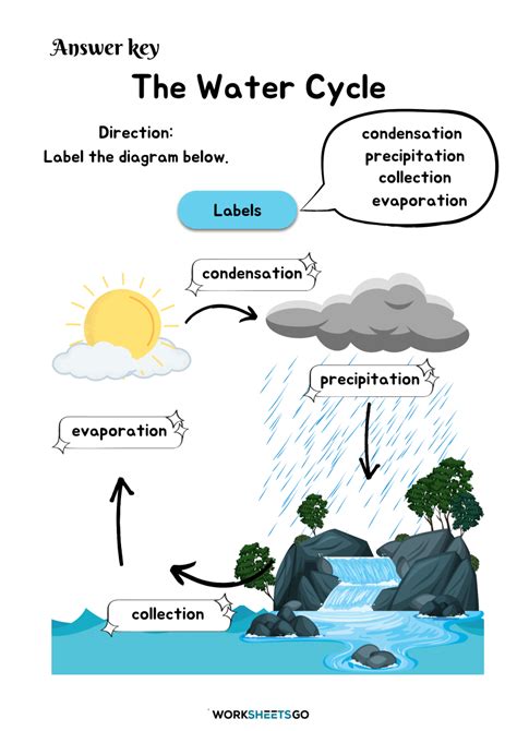 Water Cycle Key Answer Reader