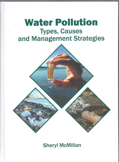 Water Environment and Pollution 1st Edition PDF