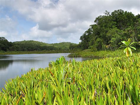 Water Quality in Palau: An Overview