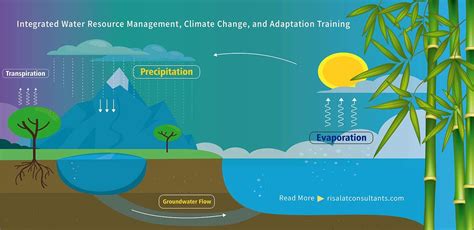 Water Resources Management: