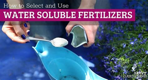 Water-Soluble 10-10-10 Fertilizer: A Comprehensive Guide