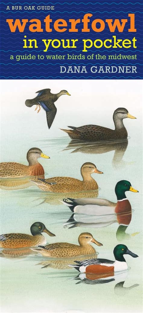 Waterfowl in Your Pocket: A Guide to Water Birds of the Midwest (Bur Oak Guide) Doc