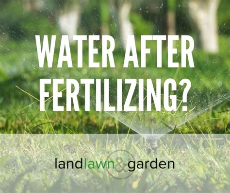 Watering After Fertilizing: The 3-2-1 Rule You Need to Know