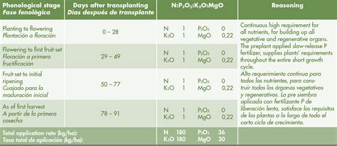 Watermelon Fertilizer Requirements