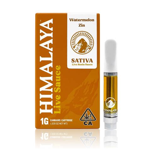 Watermelon Zyn: A Flavorful Gateway to Nicotine