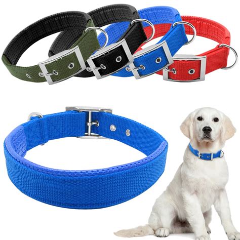 Waterproof Dog Collars: A Comprehensive Guide for Keeping Your Furry Friend Safe and Dry