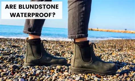 Waterproof Wonders: Discover the Allure of Blundstone Waterproof Sneakers for Women