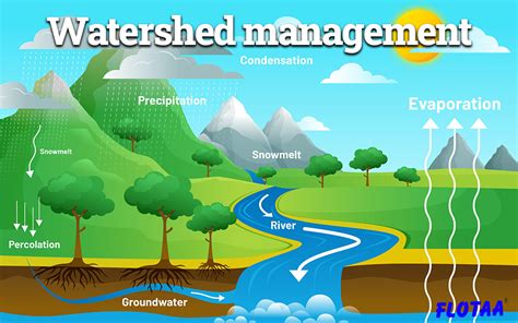 Watershed Management Doc