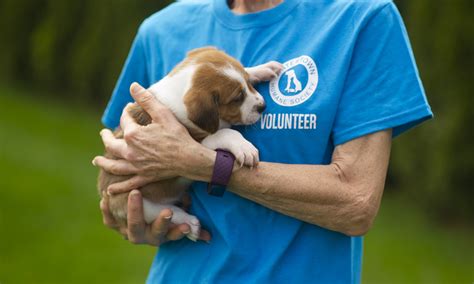 Watertown Humane Society: A Sanctuary for Animals in Watertown, Wisconsin