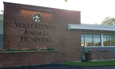 Watertown NY Animal Hospital: A Comprehensive Guide to Your Pet's Healthcare