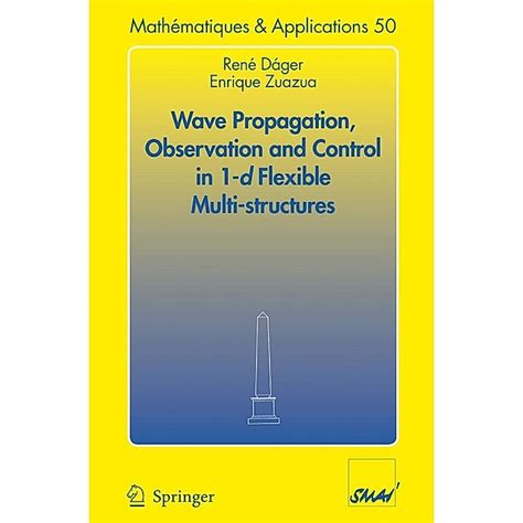 Wave Propagation, Observation and Control in 1-d Flexible Multi-Structures 1st Edition Reader