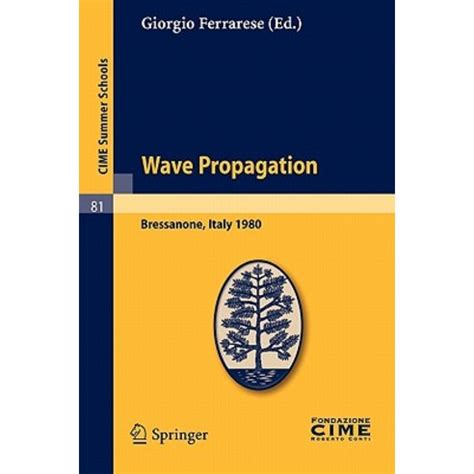 Wave Propagation Lectures given at a Summer School of the Centro Internazionale Matematico Estivo he Epub