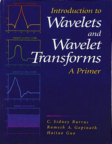 Wavelet Basics 1st Edition Kindle Editon