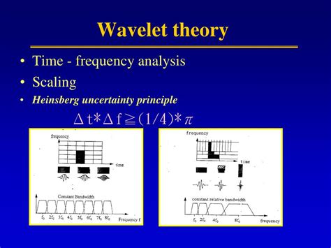 Wavelet Theory and Application Kindle Editon