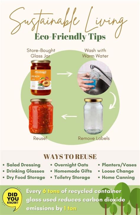 Way Basics: The Key to Effortless Eco-Friendly Living (and Saving Money!)