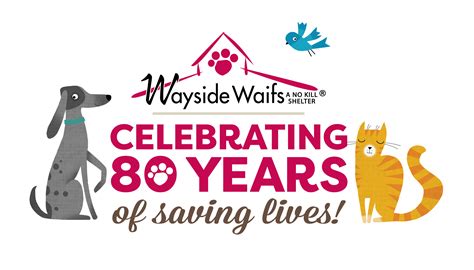 Wayside Waifs Kansas City: 50 Years of Saving Lives